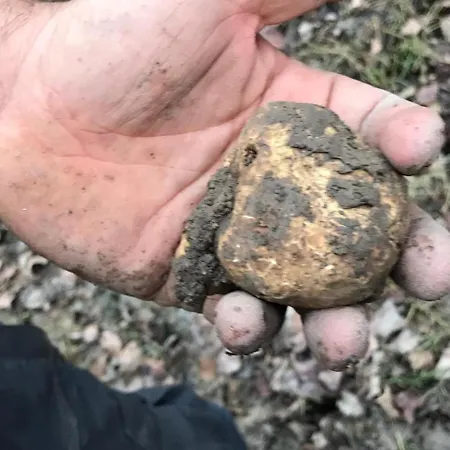 Дом отдыха Il Podere Dei Sassi