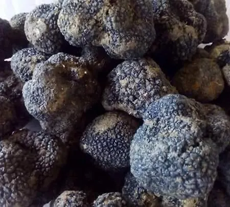 Il Podere Dei Sassi *